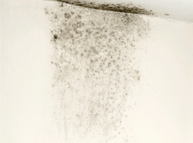 군산 주택 아파트 공장 결로검사 결로공사 시공업체