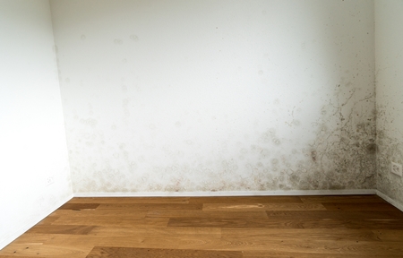 주택 결로 시공 PC 이미지 6106301