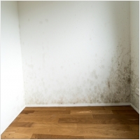 군산 주택 아파트 공장 결로검사 결로공사 시공업체-6106301