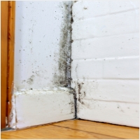 군산 주택 아파트 공장 결로검사 결로공사 시공업체-6106299